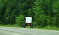 Single Amish buggy moves along quiet NYS country road Royalty Free Stock Photo