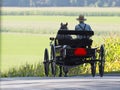 Amish Buggy