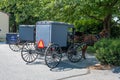 Amish Buggy, Lancaster County, Pennsylvania Royalty Free Stock Photo