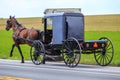 Amish Buggy in Lancaster County