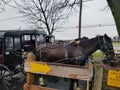 Amish Buggy Ride