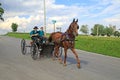 Amish Buggy Ride