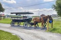 Amish Buggy Ride Tours