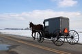Amish Carriage Royalty Free Stock Photo
