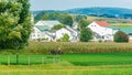 Amish country farm barn field agriculture in Lancaster, PA US