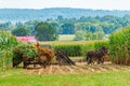 Amish country field agriculture, harvest, horse, farm, barn in Lancaster, PA