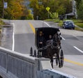 Black Horse pulls an Amish Carriage in Upper New York State during Autumn