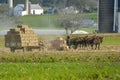 Amish Family Harvesting the Fields on an Autumn Day pt 4