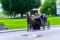 Amish Family in Wagon