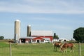 Amish farm and barn in Lancaster, PA Royalty Free Stock Photo