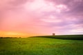 Amish Farm sunset Royalty Free Stock Photo