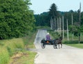 Amish Farm Woman, Horse, Buggy Royalty Free Stock Photo