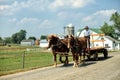 An Amish farmer drives a team of horses pulling a wagon