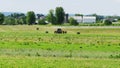 Amish Farmer Harvesting His Crop with 4 Horses and Modern Equipment Royalty Free Stock Photo