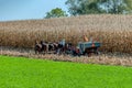 Amish Farmer Harvesting his feed Corn with 6 Horses Pulling his Gas Powered Harvester on a Sunny Autumn Day Royalty Free Stock Photo