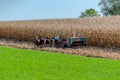 Amish Farmer Harvesting his feed Corn with 6 Horses Pulling his Gas Powered Harvester on a Sunny Autumn Day Royalty Free Stock Photo