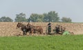 Amish Farmer Harvesting his feed Crop with 4 Horses Pulling his Gas Powered Harvester on a Sunny Autumn Day