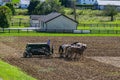 Amish Farmer Plowing Field After Corn Harvest with 6 Horses Royalty Free Stock Photo