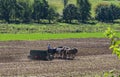 Amish Farmer Plowing Field After Corn Harvest with 6 Horses