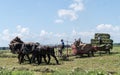 Amish Farmers Harvesting Crop in Rural Lancaster County, Pennsylvania