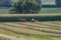 Amish Farmers Harvesting the Crop