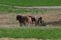 Amish Farmers Tilling the Earth