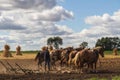 Amish Farming