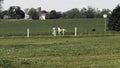 An Amish Girl Teaching a New Young Painted Horse to Run