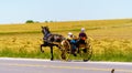 Amish Girls in Two Wheel Cart