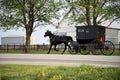 Amish horse and buggy, Royalty Free Stock Photo