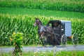 Amish Horse and Buggy approaching on a Rural Road With Boy and His Father Royalty Free Stock Photo