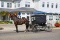 Amish Horse, Buggy, Carriage, Religion Royalty Free Stock Photo