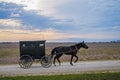 Amish horse and buggy Royalty Free Stock Photo