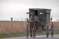 Amish horse and buggy Royalty Free Stock Photo