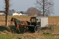 Amish horse buggy drawn by a beautiful brown horse, Lancaster County, PA Royalty Free Stock Photo