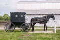 Amish horse and buggy