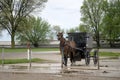 Amish horse and buggy,hitched Royalty Free Stock Photo