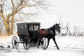 Amish horse and buggy Royalty Free Stock Photo
