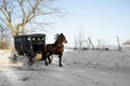 Amish horse and buggy Royalty Free Stock Photo