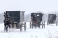 Amish horse and buggy,snow,storm