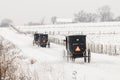 Amish horse and buggy,snow,storm