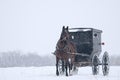 Amish horse and buggy,snow,storm Royalty Free Stock Photo