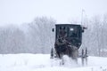 Amish horse and buggy,snow,storm