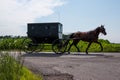 Amish Horse and Buggy Royalty Free Stock Photo