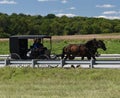 Amish Horse and Buggy Royalty Free Stock Photo