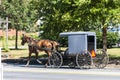 Amish Horse and Buggy on a Sunny Summer Day Royalty Free Stock Photo