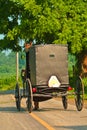 Amish horse and buggy Royalty Free Stock Photo