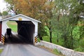 An Amish horse and buggy Royalty Free Stock Photo