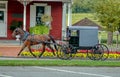 Amish Horse and Buggy Trotting to Country Store Royalty Free Stock Photo