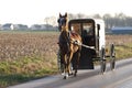 Amish horse cart